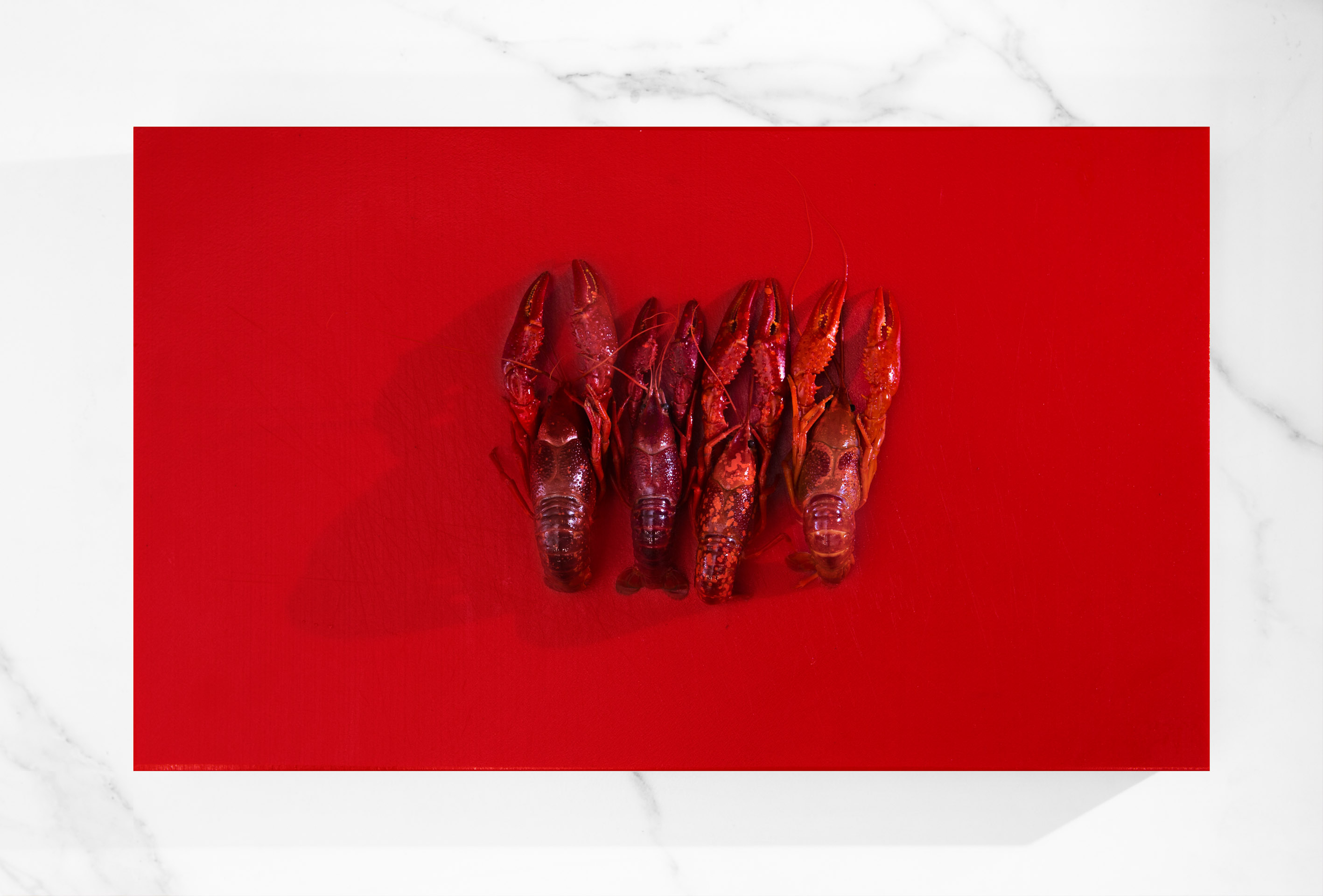 nomada-begona-rodrigo-5