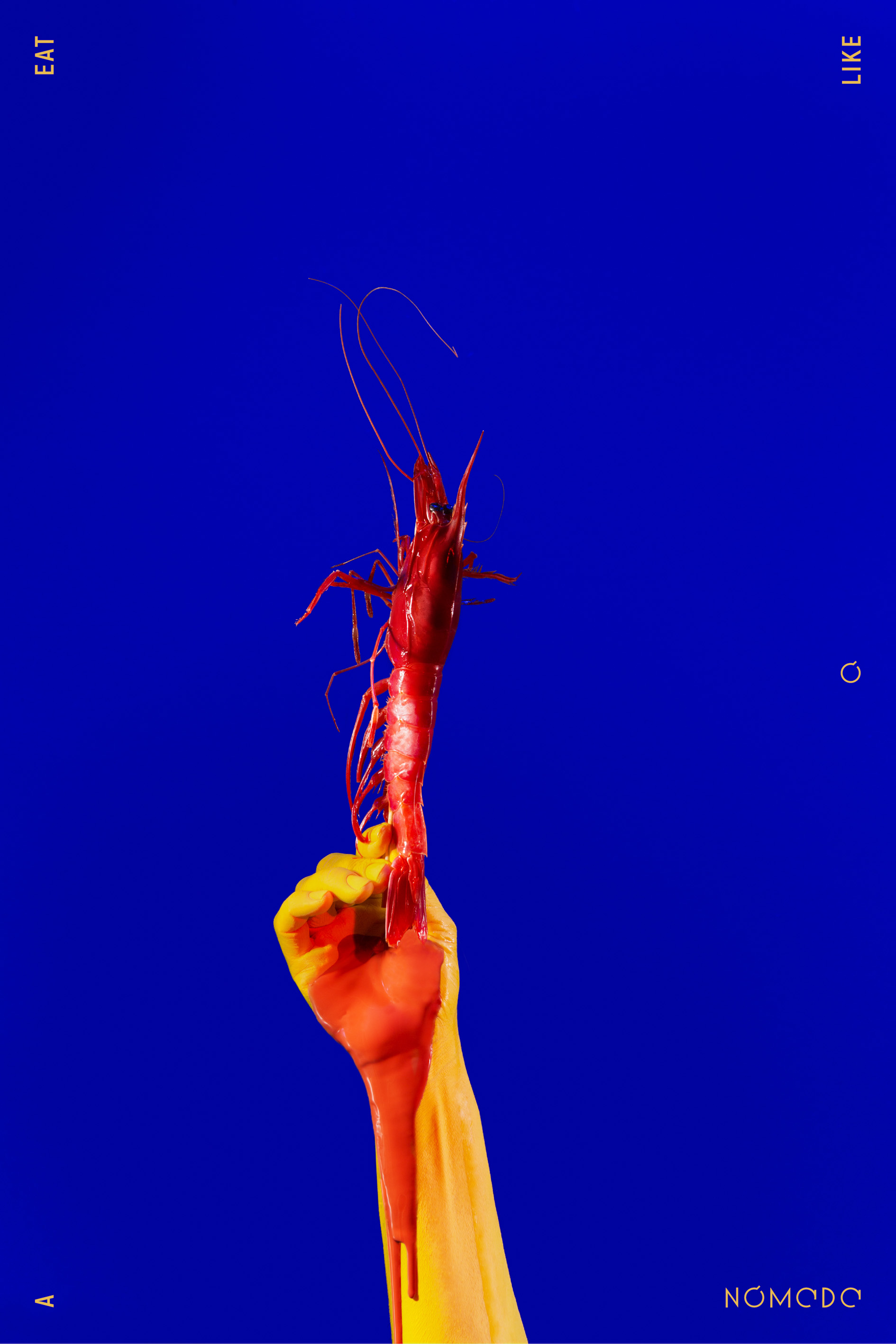 NOMADA-CARMELA-WORK-OK